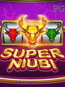 SuperNiubi: Explorando o Mundo do Jogo com 56t.com